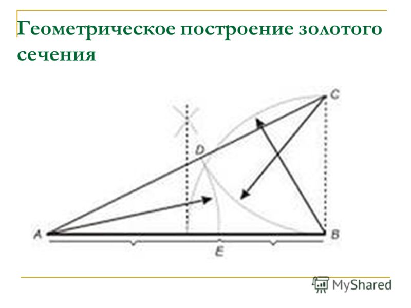 Принцип золотого сечения в архитектуре