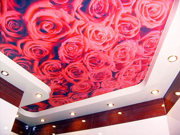фотопечать красной розы на потолке