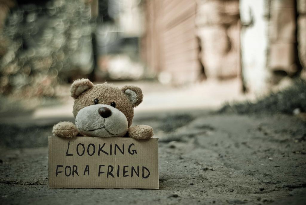 игрушка с табличкой, на которой написано: "Ищу друзей"