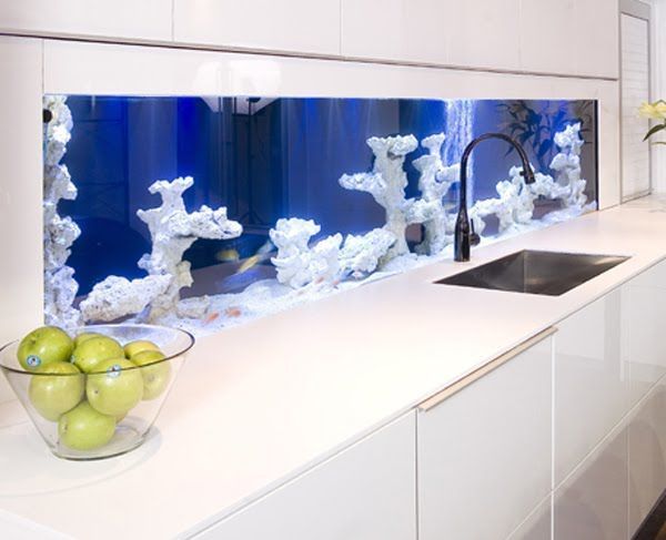 Аквариум с кораллами на кухне
