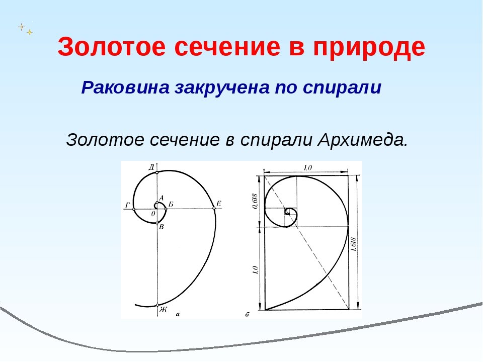 Золотое сечение проект вывод