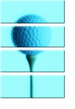 Модульная картина «Мяч для гольфа»
