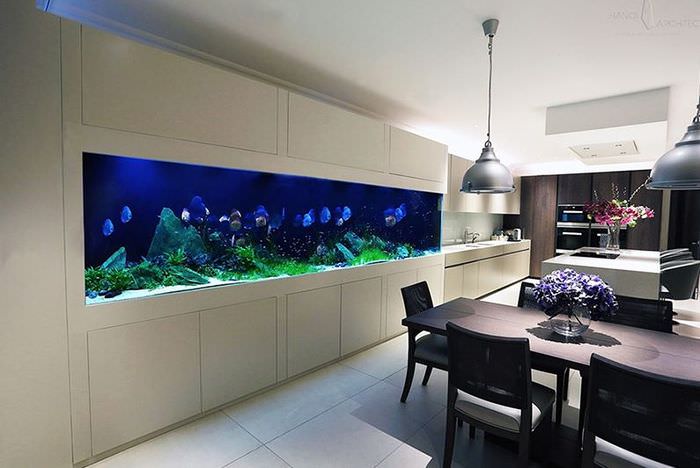 Длинный аквариум в интерьере кухни-гостиной